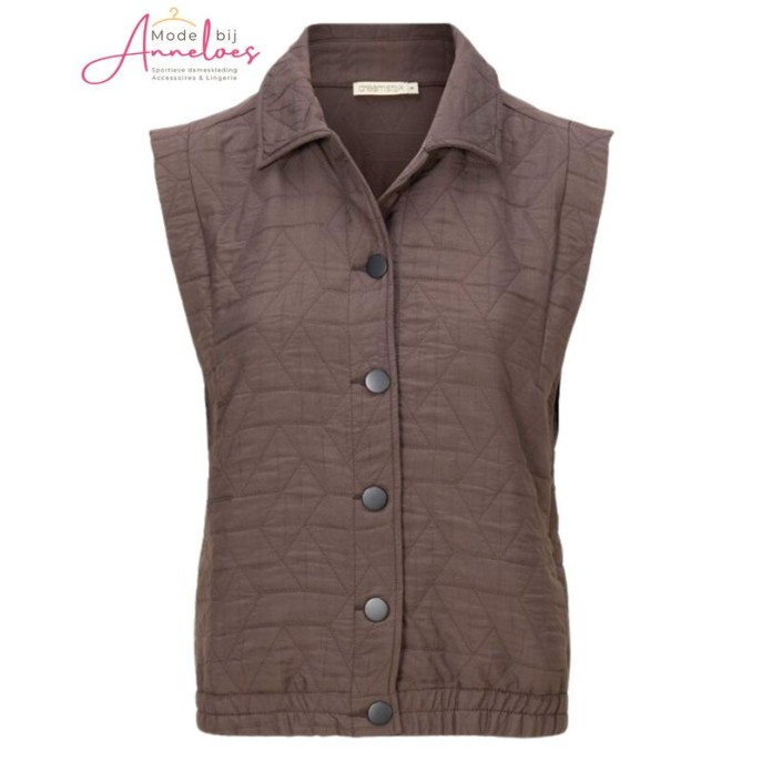 Dreamstar gilet Maximo step Choco