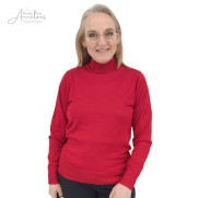 Pullover turtle uni - Rood
